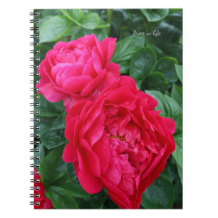 Reddish Pink Peony  Notebook