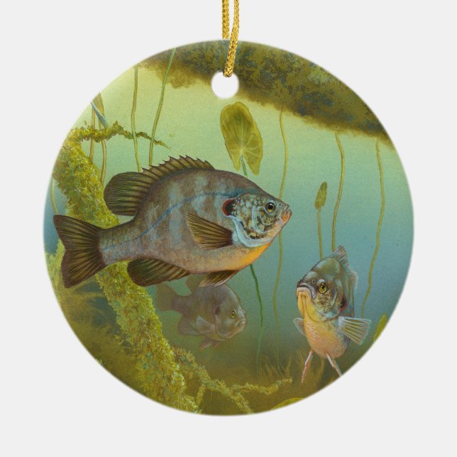 Redear Sunfish Lepomis Microlophus Timothy Knepp Ceramic Tree Decoration (Front)