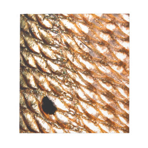 "Redfish" - Red Drum by PatternWear© Notepad