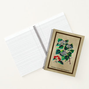Redhaw Hawthorn On Old Paper Notebook