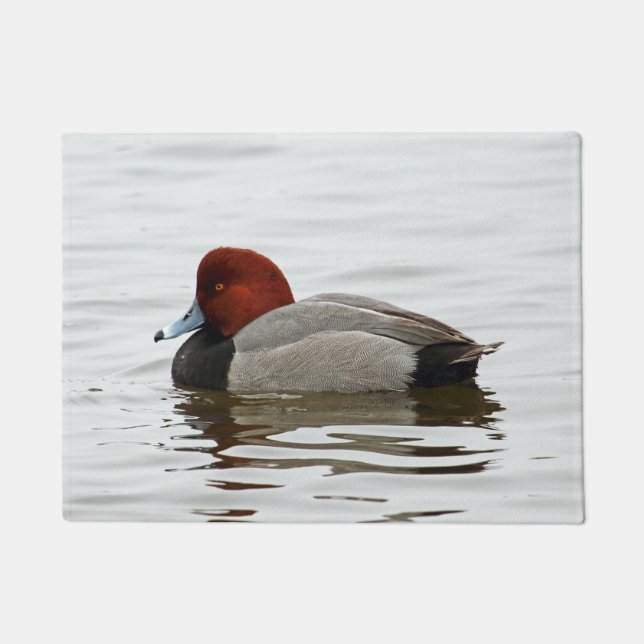 Redhead Duck Drake Doormat (Front)