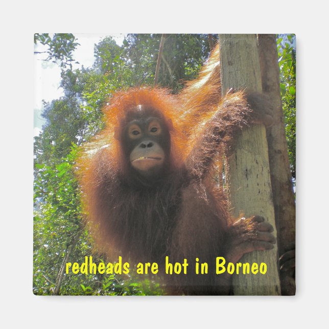 Redheads Are Hot Humour Magnet (Front)