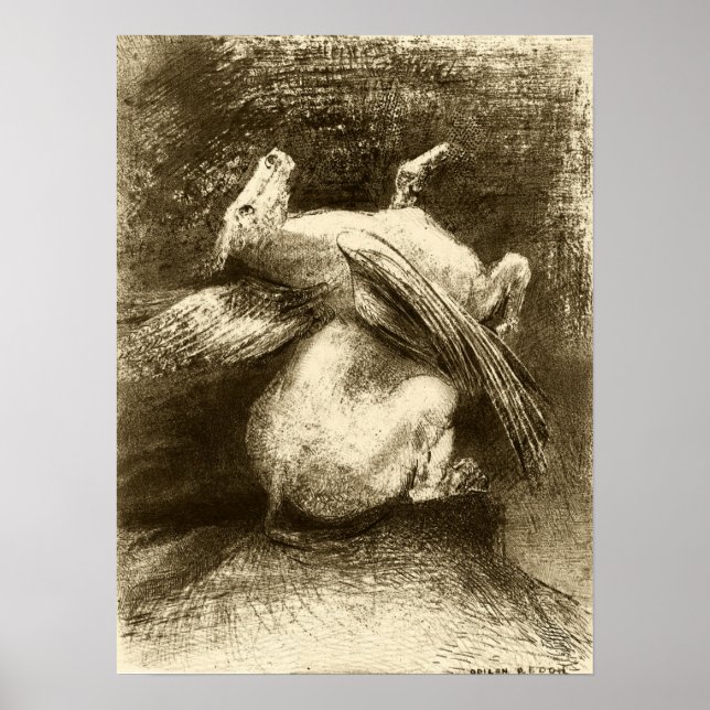 Redon - The Impotent Wing (Animal Black Space) Poster (Front)