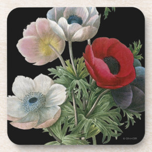 Redoute: Anemone, 1833 Coaster