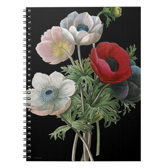 Redoute: Anemone, 1833 Spiral Notebook (Front)