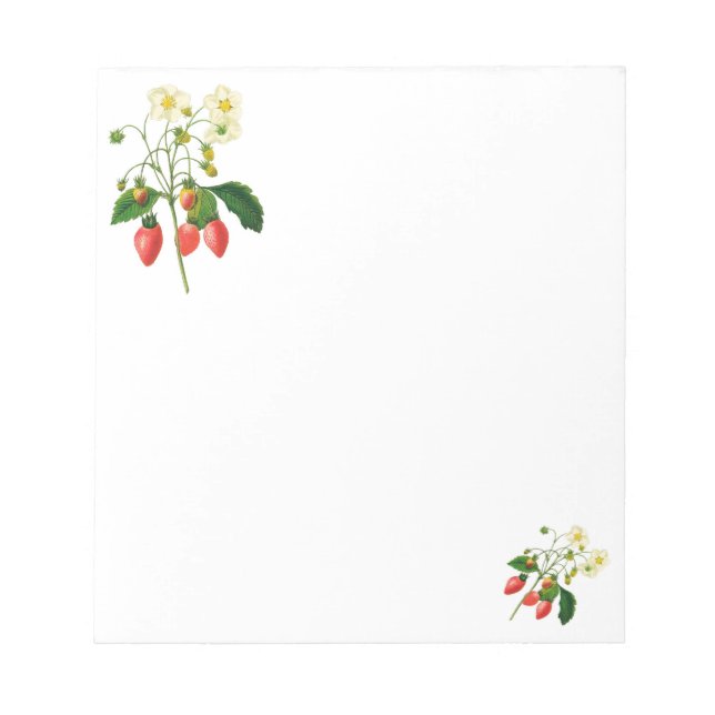 Redoute Botanical Flower Notepad (Front)