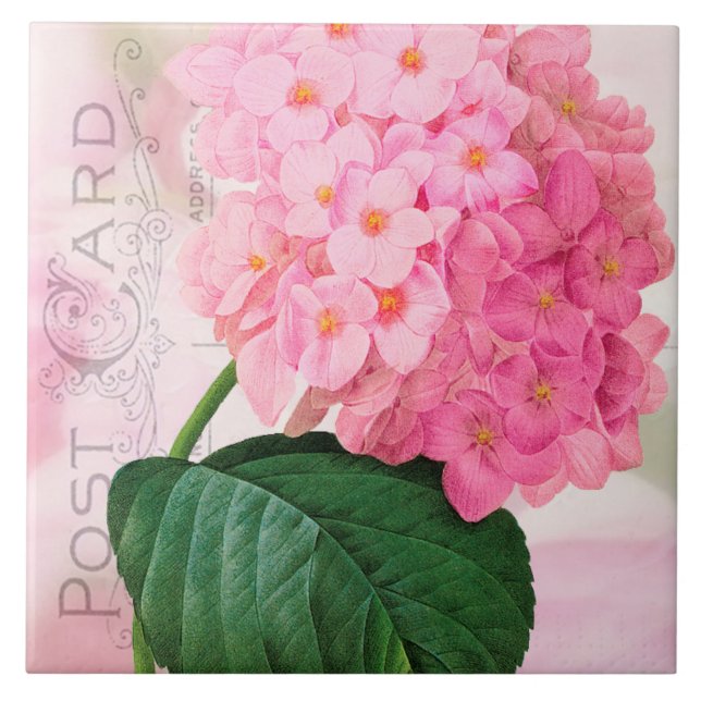 Redoute French Pink Hydrangea Ceramic Tile (Front)