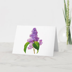Redoute Lilacs Card