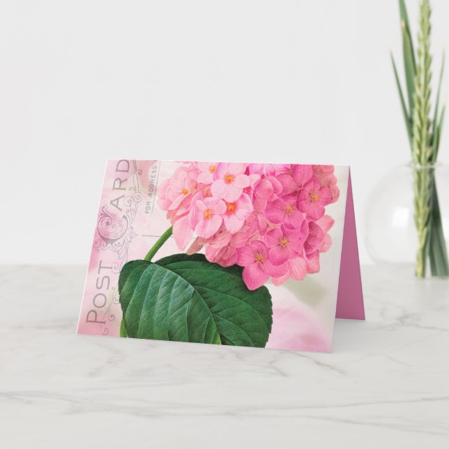 Redoute Pink Hydrangea Birthday Greeting Card (Front)