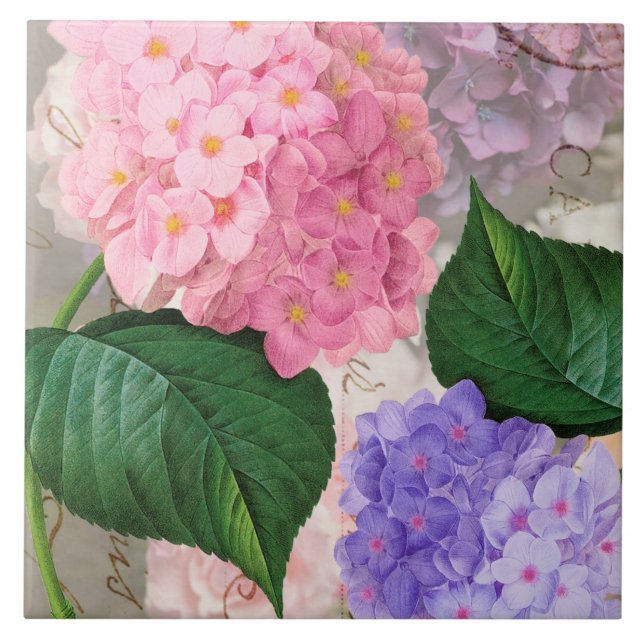 Redoute Pink Purple Hydrangea Ceramic Tile (Front)