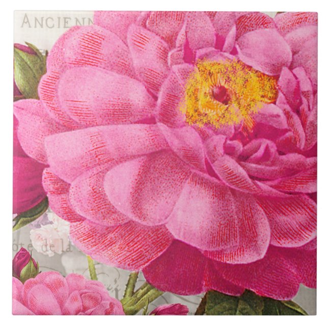 Redoute Pink Rose Ceramic Tile (Front)