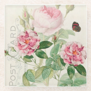Redoute Pink Roses Flowers Glass Coaster