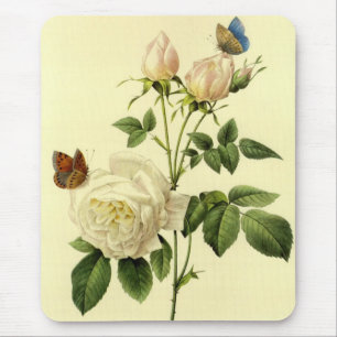 Redoute Print: 'Bengal Rose Hymanee' Mouse Pad