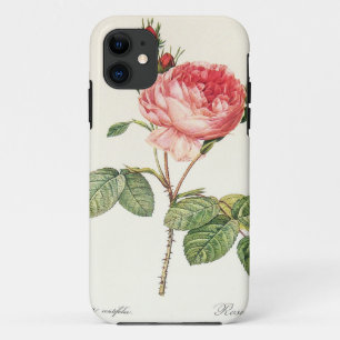 Redoute Rosa Centifolia (bright) Case-Mate iPhone Case