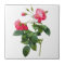 Redoute Roses