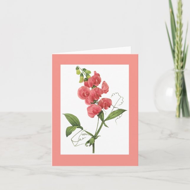 Redoute Sweet Pea Notecard (Front)