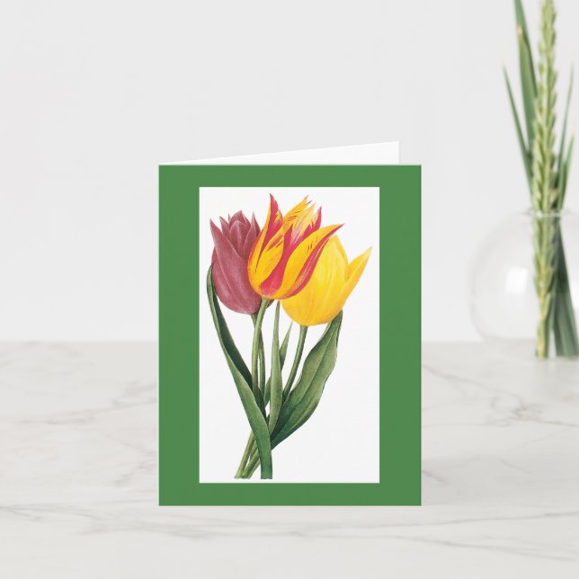 Redoute Tulip Notecard (Front)