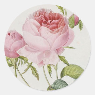 Redoute Vintage Rose Stickers