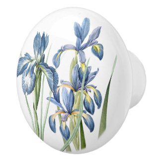 Redoutes Iris Flowers Floral Botanical Ceramic Knob