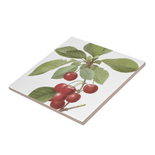 Redoutés' Royal Cherry Tile