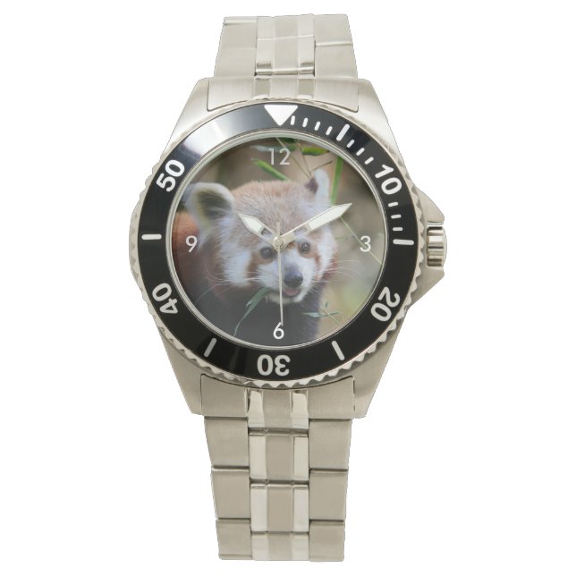 RedPanda20150310 Watch (Front)