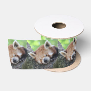 RedPanda20150705.jpg Satin Ribbon