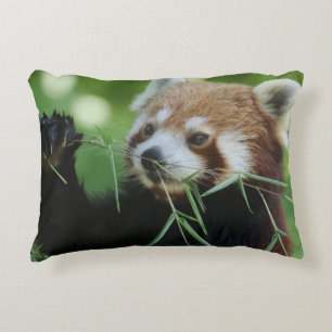 RedPanda 002 Decorative Cushion