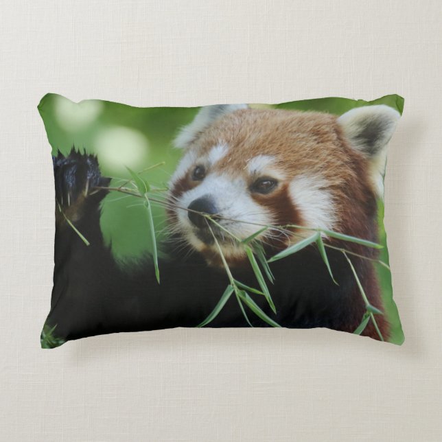 RedPanda 002 Decorative Cushion (Front)