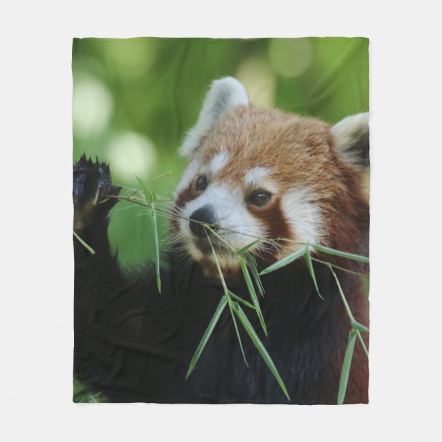 RedPanda 002 Fleece Blanket (Front)