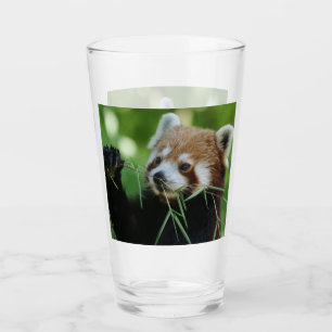 RedPanda 002 Glass