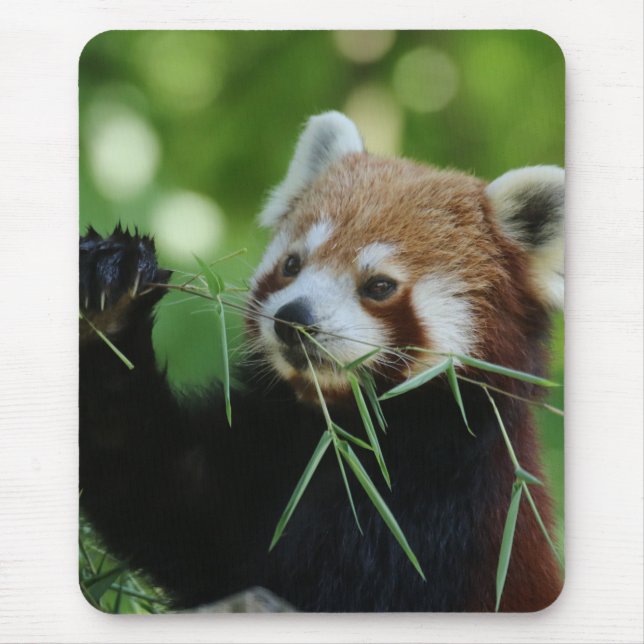 RedPanda 002 Mouse Pad (Front)