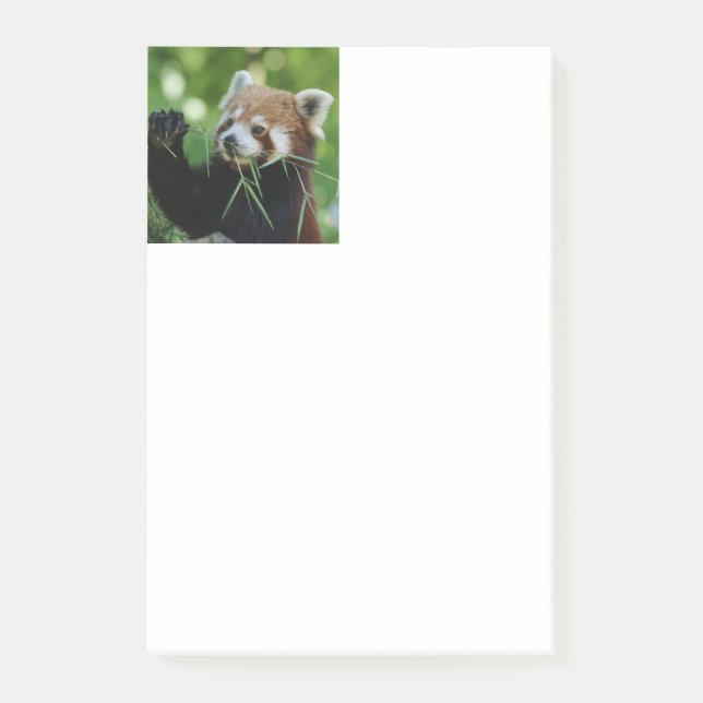 RedPanda 002 Post-it Notes (Front)