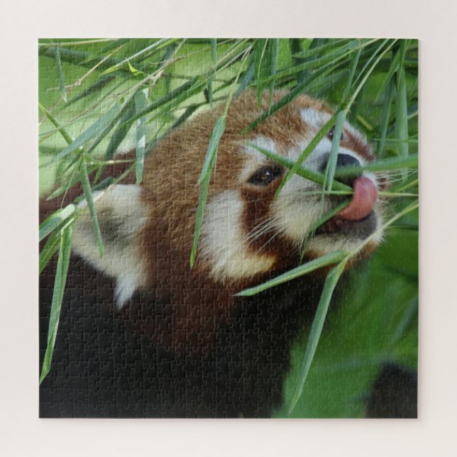 RedPanda 2020-03-03 Jigsaw Puzzle (Vertical)