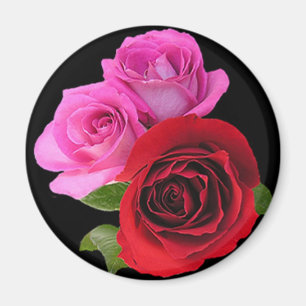 RedPinkTonedRoses2 Magnet