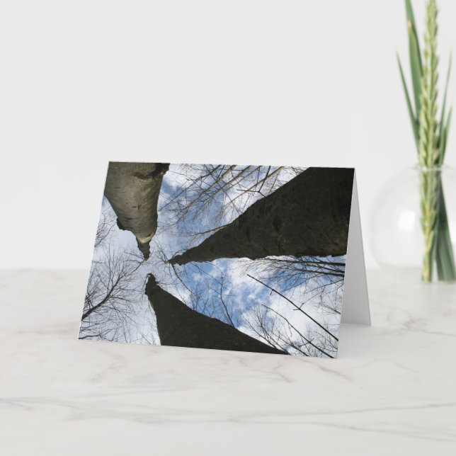 REDREAMING:LOOK UP CARD (Front)