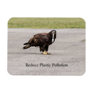 Reduce Plastic Pollution Magnet