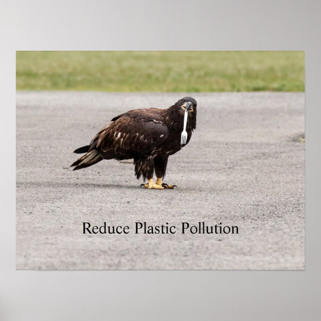 Reduce Plastic Pollution Poster (Front)