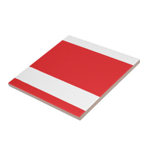 RedWhite Ceramic Tile