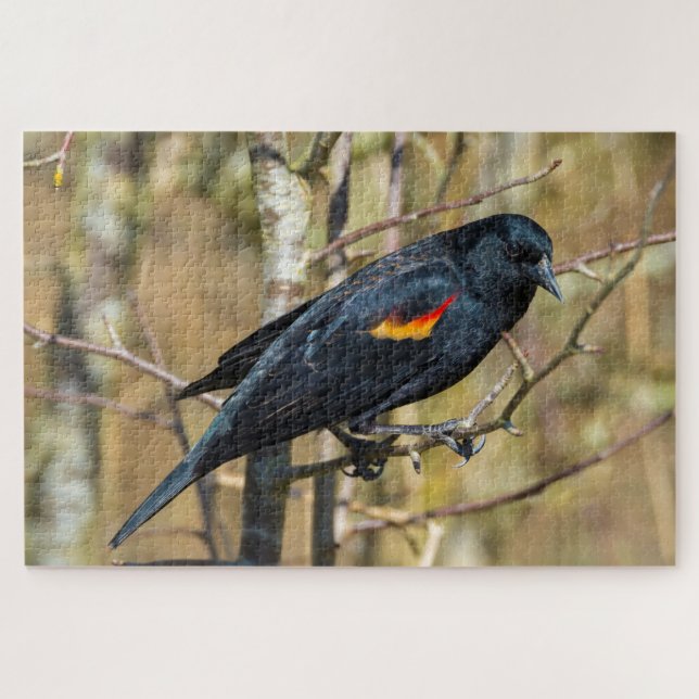 Redwing Blackbird Jigsaw Puzzle (Horizontal)