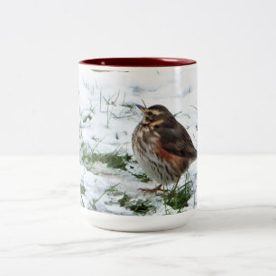 Redwing Two-Tone Coffee Mug