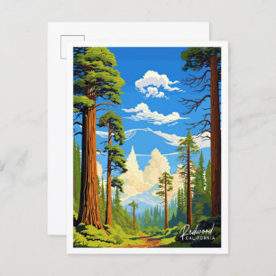 Redwood California Art Travel Vintage illustration Postcard
