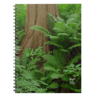 Redwood & Ferns notebook