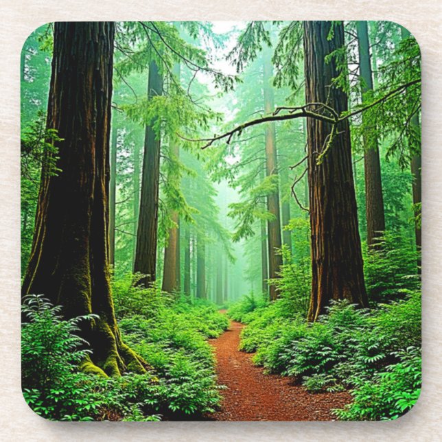 Redwood Forest Misty Tranquillity Design Coaster (Front)