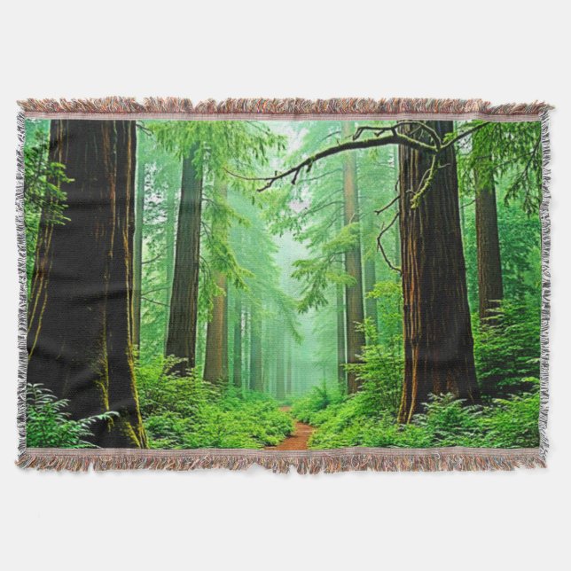 Redwood Forest Misty Tranquillity Design Throw Blanket (Front)