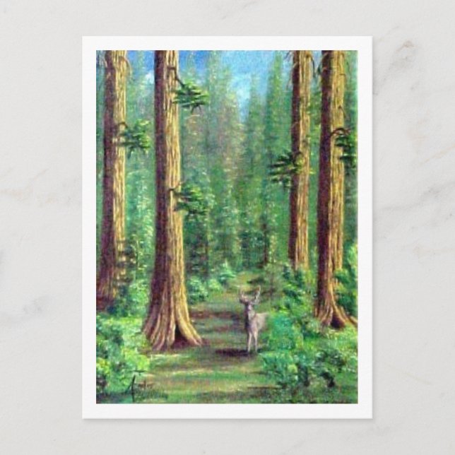 Redwood Forest Postcard (Front)