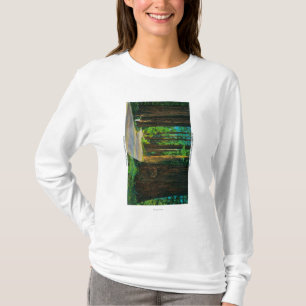 Redwood Highway in Humboldt State Redwood Park T-Shirt