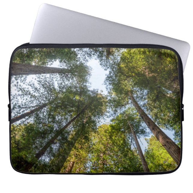 Redwood National and State Parks, California Laptop Sleeve (Front)