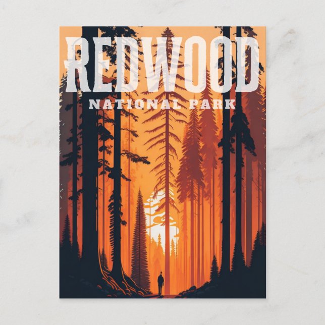 Redwood National Park, CA Postcard (Front)