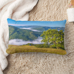 Redwood National Park, California Lumbar Cushion
