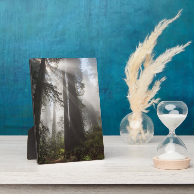 Redwood National Park California Plaque (Side)